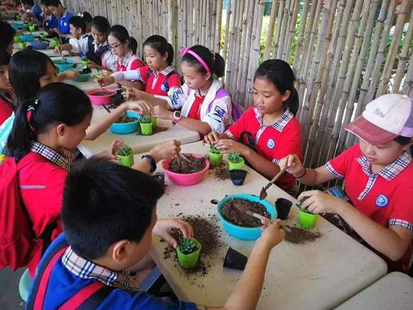 幼兒秋游研學